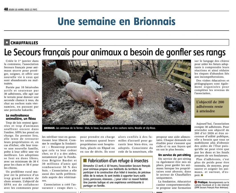 article journal