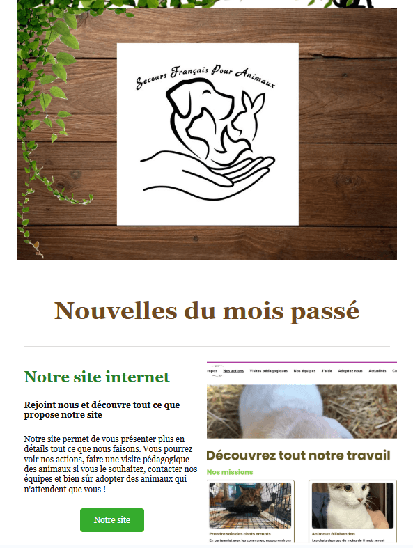 Newsletter